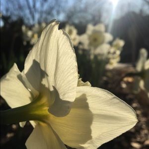 Meet your Posher, Britt